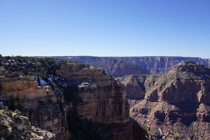 Illustration for article titled Grand Canyon - South Rim Style